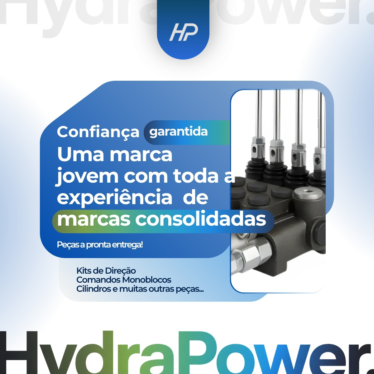Joystick Indemar para Comandos Bondioli & Pavesi DNC65/ML - Imagem 6
